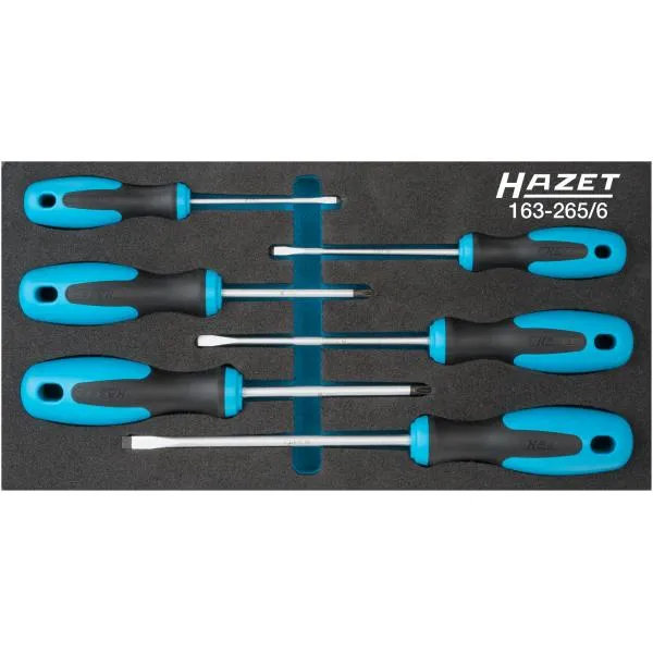 HAZET 163-265/6 – PH screwdriver set (6 pcs.)