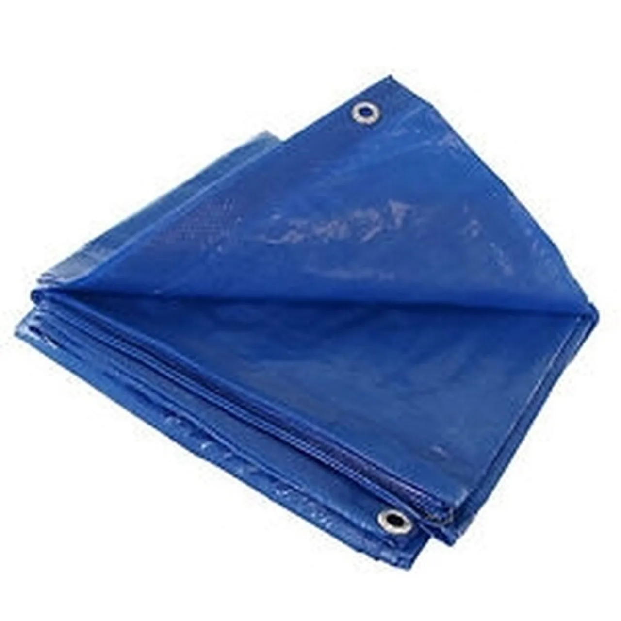 Grip Rite Economy Blue Tarp, 20 ft x 30 ft, (Qty. 1), #ETARP2030
